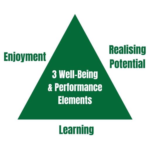 3 Well-Being & Performance Elements.jpg